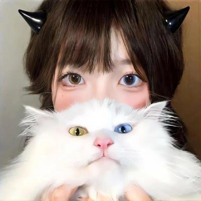好莱坞以北 海报